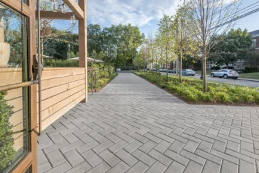 VENZA CHARBON CENDRE ASH CHARCOAL
