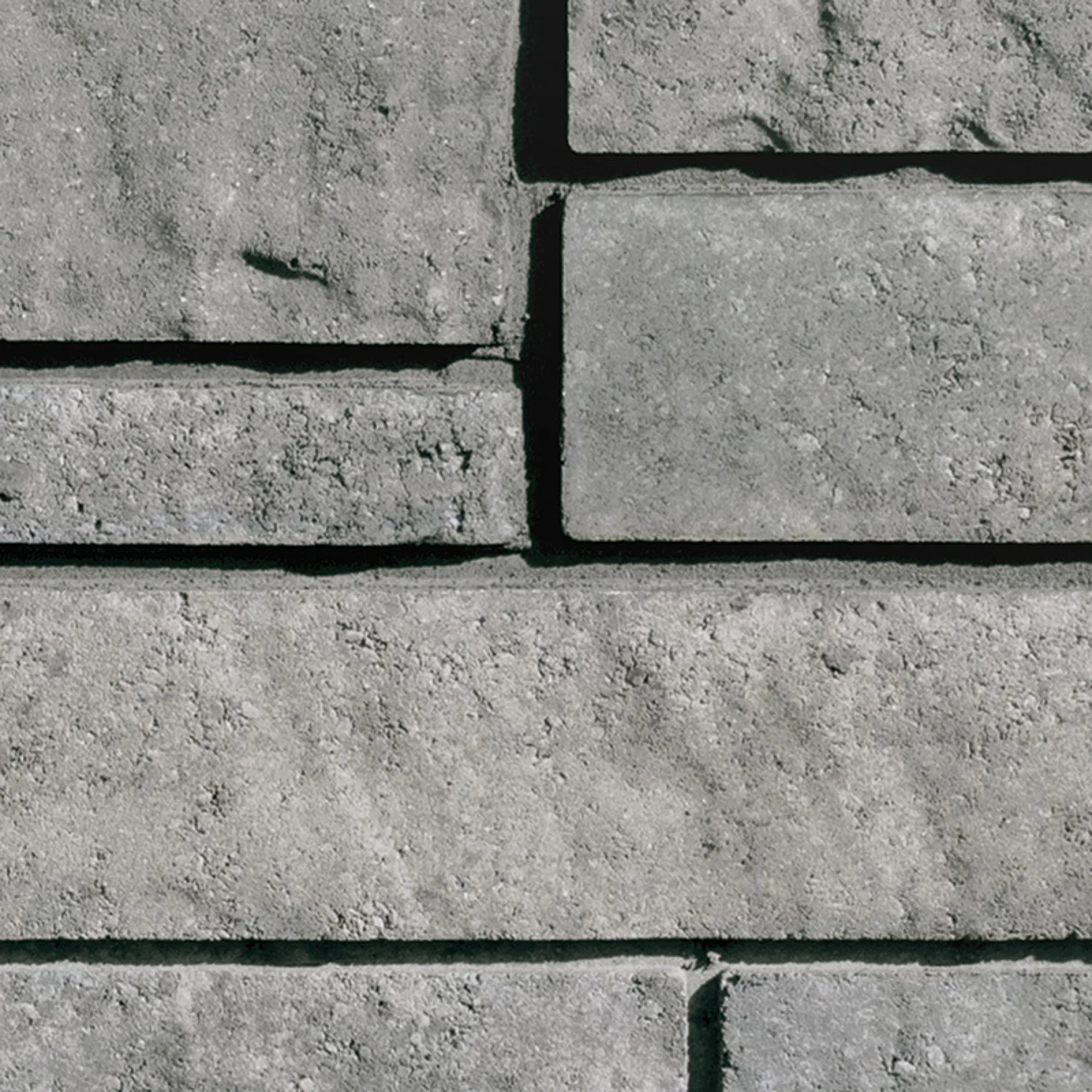 Rinox Novello ashcharcoal Charbon cendre