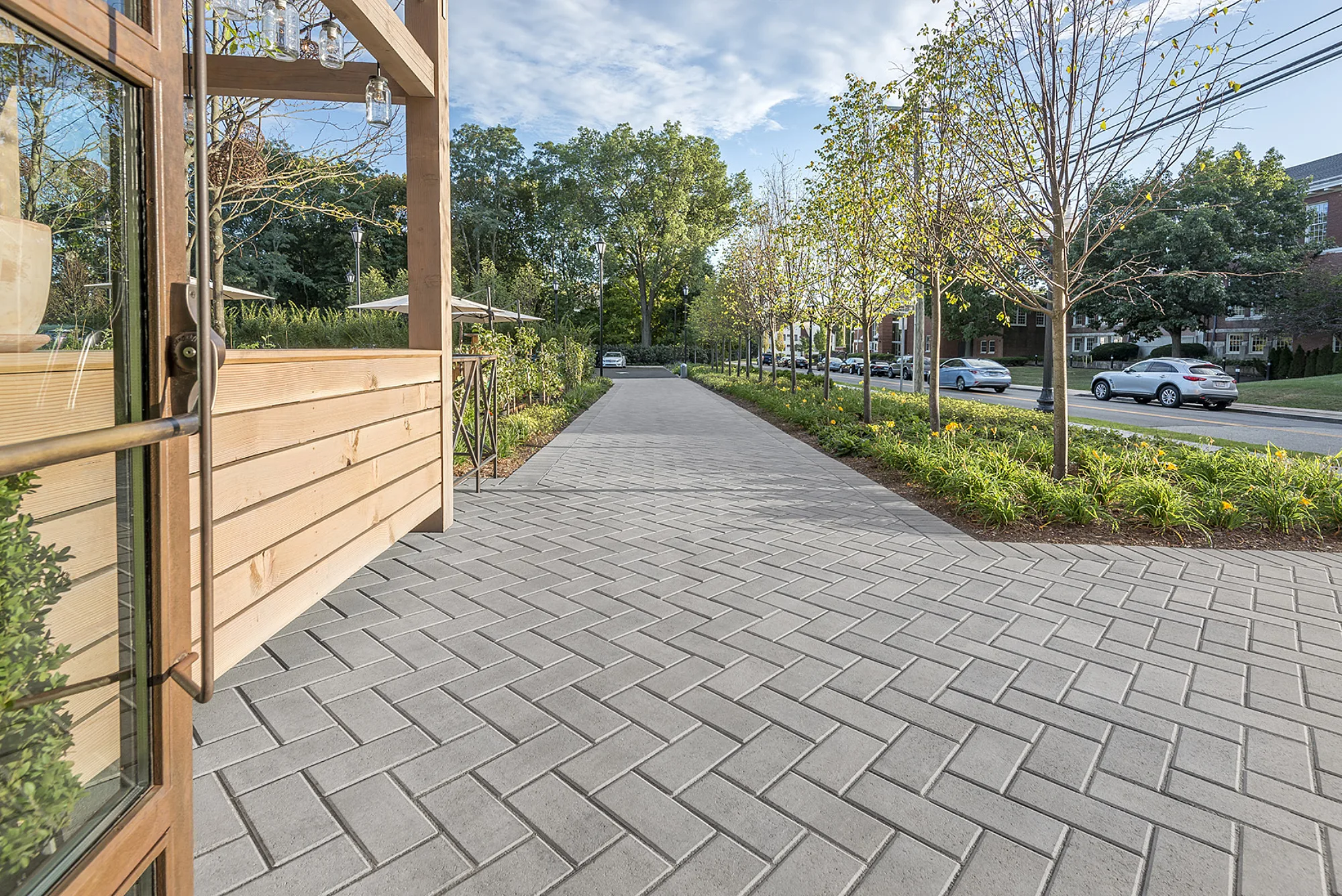 VENZA CHARBON CENDRE ASH CHARCOAL