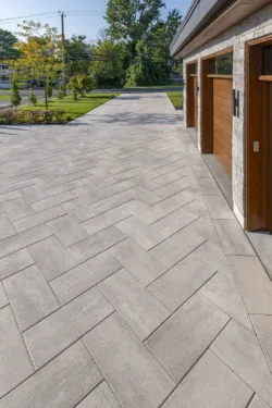 PROMAXL GRIS CIEL SKYGREY RINOX