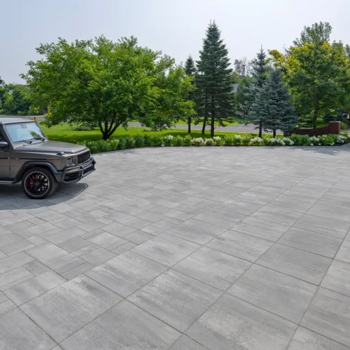PROMA PAVER HUSKY RINOX