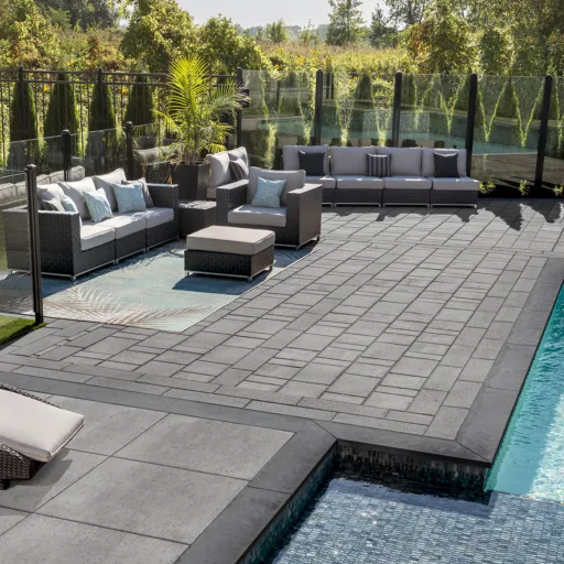 ASPEN ASH CHARCOAL CHARBON CENDRE RINOX 2