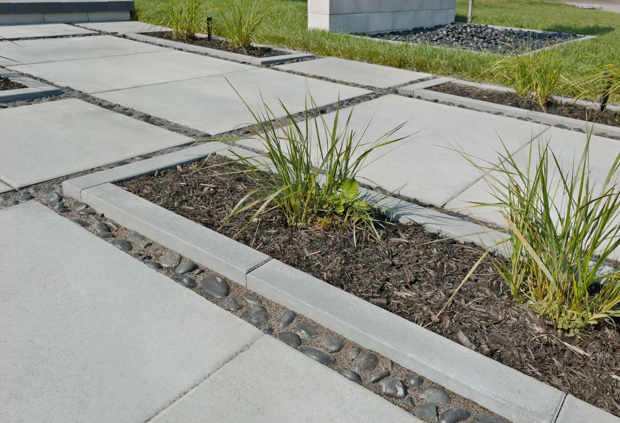 Rinox BORDURE PROMA GRIS GREY